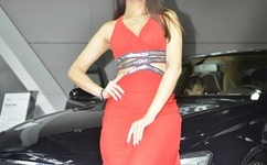 暴躁少女bgm视频播放